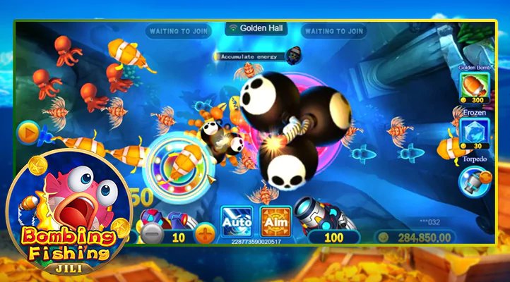 giga500 Category rules